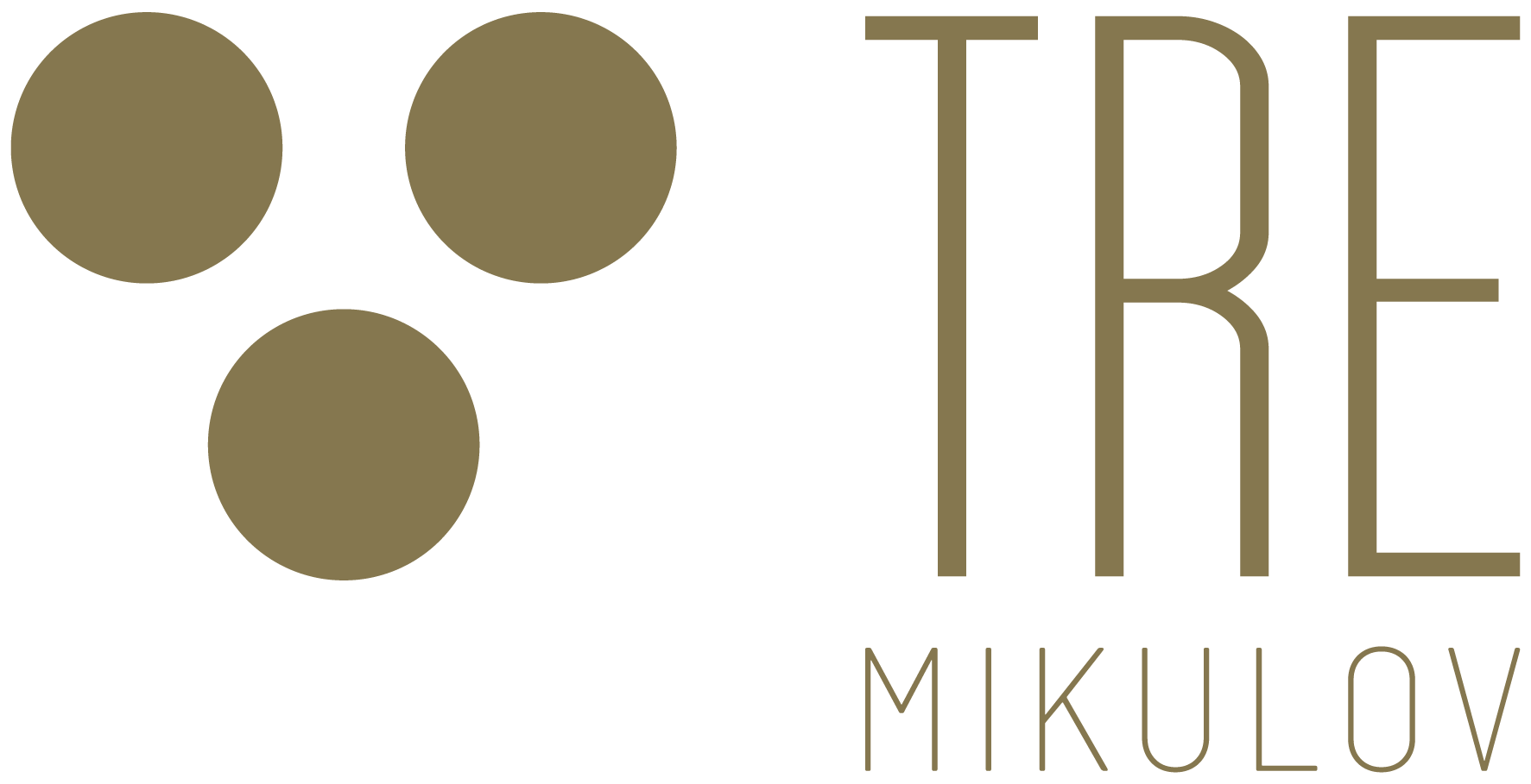 logo Dům na jihu